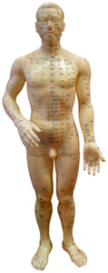 acupuntura-mtc.com