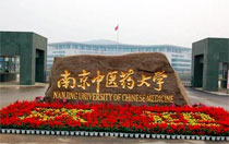 4. Universidade de Medicina Chinesa de Nanjing