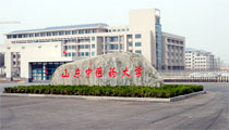 6. Universidade de Medicina Tradicional Chinesa de Shandong