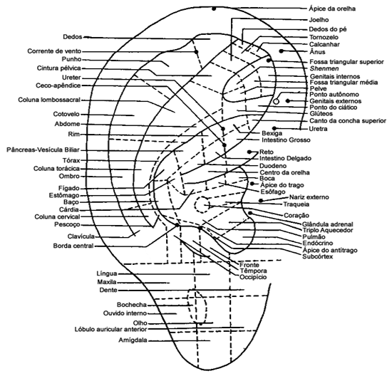 Localização dos pontos auriculares